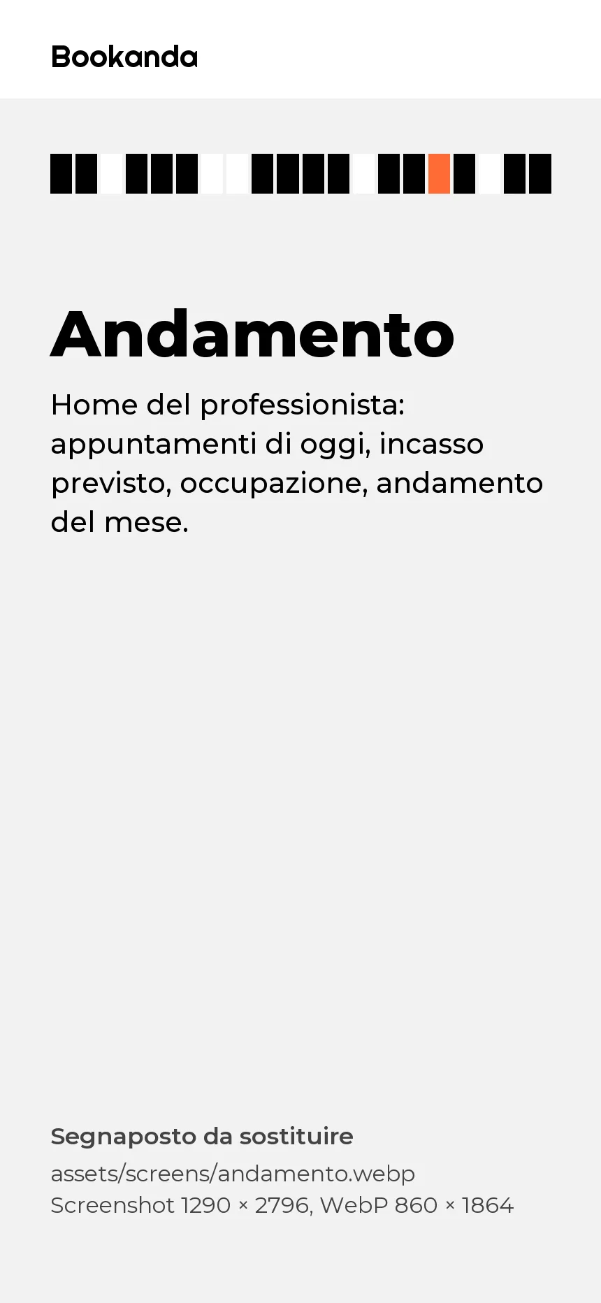 La home del professionista con l'incasso previsto e l'occupazione